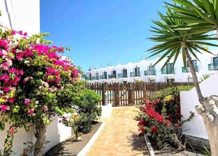 Apartamento Precioso apartamento en complejo San Valentín, Corralejo Exterior foto